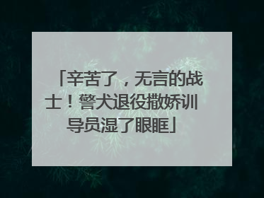 辛苦了，无言的战士！警犬退役撒娇训导员湿了眼眶