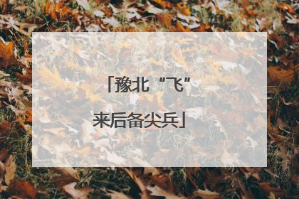 豫北“飞”来后备尖兵