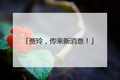 贾玲，传来新消息！