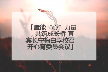 赋能“心”力量，共筑成长桥 宜宾长宁梅白学校召开心育委员会议