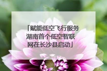 赋能低空飞行服务 湖南首个低空智联网在长沙县启动