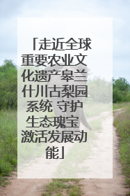 走近全球重要农业文化遗产皋兰什川古梨园系统 守护生态瑰宝 激活发展动能