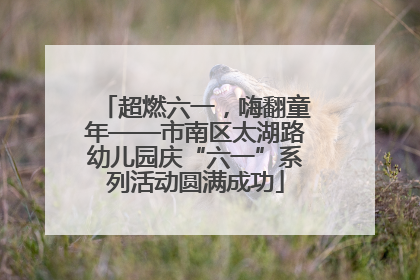 超燃六一，嗨翻童年——市南区太湖路幼儿园庆“六一”系列活动圆满成功