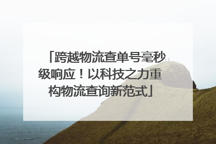跨越物流查单号毫秒级响应！以科技之力重构物流查询新范式