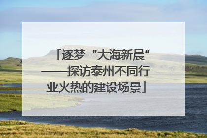 逐梦“大海新晨”——探访泰州不同行业火热的建设场景