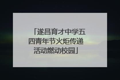 遂昌育才中学五四青年节火炬传递活动燃动校园