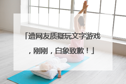 遭网友质疑玩文字游戏，刚刚，白象致歉！