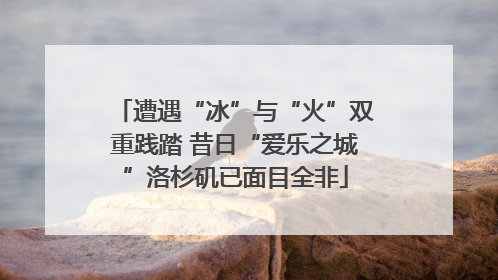 遭遇“冰”与“火”双重践踏 昔日“爱乐之城”洛杉矶已面目全非