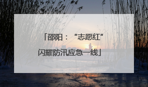 邵阳：“志愿红”闪耀防汛应急一线