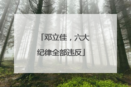 邓立佳，六大纪律全部违反