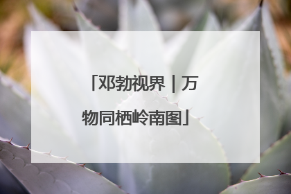 邓勃视界｜万物同栖岭南图