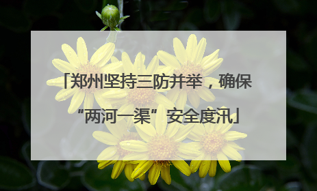 郑州坚持三防并举，确保“两河一渠”安全度汛