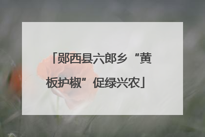郧西县六郎乡“黄板护椒”促绿兴农