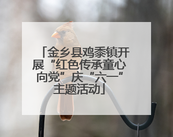 金乡县鸡黍镇开展“红色传承童心向党”庆“六一”主题活动