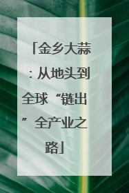 金乡大蒜：从地头到全球“链出”全产业之路