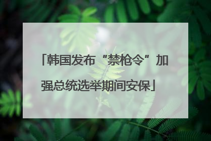 韩国发布“禁枪令”加强总统选举期间安保