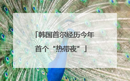 韩国首尔经历今年首个“热带夜”