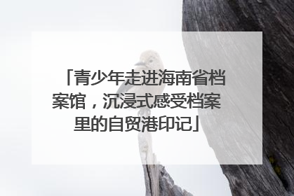 青少年走进海南省档案馆，沉浸式感受档案里的自贸港印记