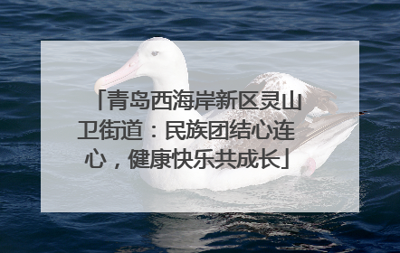 青岛西海岸新区灵山卫街道：民族团结心连心，健康快乐共成长