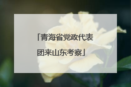 青海省党政代表团来山东考察