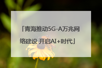 青海推动5G-A万兆网络建设 开启AI+时代