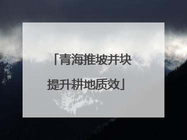 青海推坡并块提升耕地质效