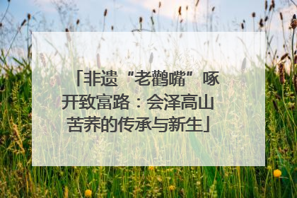 非遗“老鹳嘴”啄开致富路：会泽高山苦荞的传承与新生