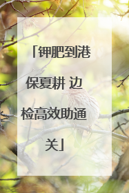 钾肥到港保夏耕 边检高效助通关