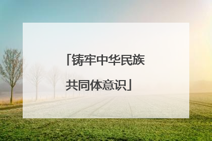 铸牢中华民族共同体意识