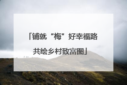 铺就“梅”好幸福路 共绘乡村致富图