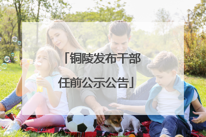 铜陵发布干部任前公示公告
