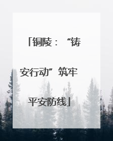 铜陵：“铸安行动”筑牢平安防线