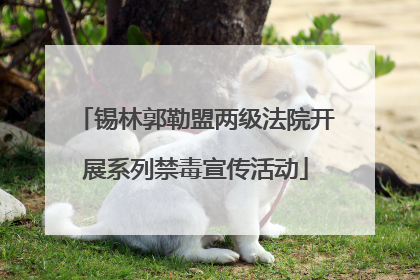 锡林郭勒盟两级法院开展系列禁毒宣传活动