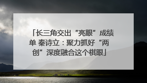 长三角交出“亮眼”成绩单 秦诗立：聚力抓好“两创”深度融合这个棋眼