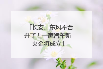 长安、东风不合并了！一家汽车新央企将成立