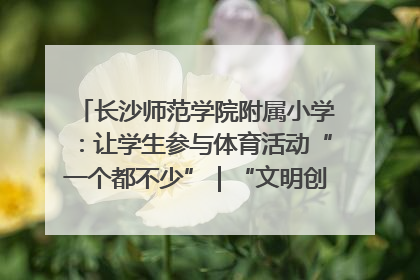 长沙师范学院附属小学：让学生参与体育活动“一个都不少”｜“文明创建耀三湘”专栏
