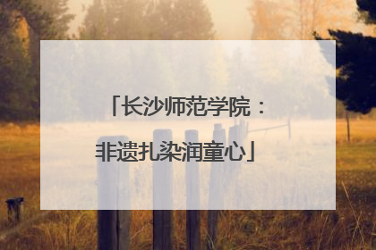 长沙师范学院：非遗扎染润童心