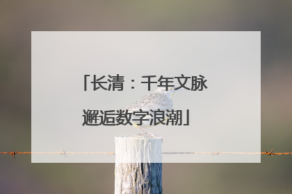 长清：千年文脉邂逅数字浪潮