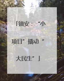 镇安：“小项目”撬动“大民生”