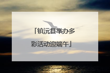 镇沅县举办多彩活动迎端午