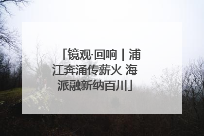 镜观·回响｜浦江奔涌传薪火 海派融新纳百川