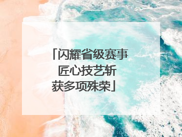 闪耀省级赛事  匠心技艺斩获多项殊荣