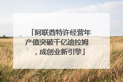 阿联酋特许经营年产值突破千亿迪拉姆，成创业新引擎