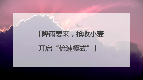 降雨要来，抢收小麦开启“倍速模式”