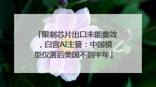 限制芯片出口未能奏效，白宫AI主管：中国模型仅落后美国不到半年