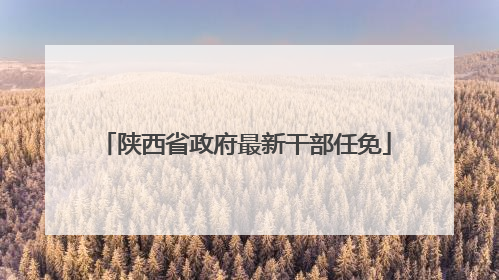 陕西省政府最新干部任免