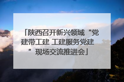 陕西召开新兴领域“党建带工建 工建服务党建”现场交流推进会