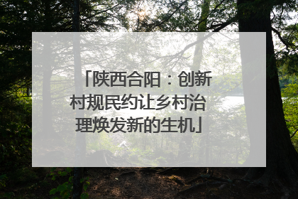陕西合阳：创新村规民约让乡村治理焕发新的生机