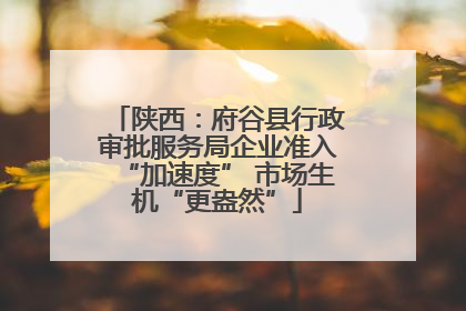 陕西：府谷县行政审批服务局企业准入“加速度” 市场生机“更盎然”