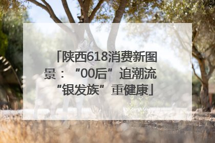陕西618消费新图景：“00后”追潮流 “银发族”重健康